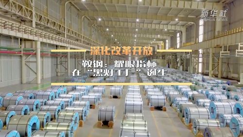 深化改革開(kāi)放丨鞍鋼 “黑燈工廠”里的耀眼指標(biāo)與技術(shù)咨詢新動(dòng)力