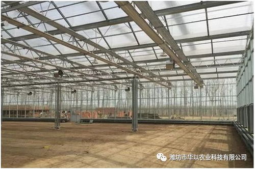 文洛型玻璃溫室地基施工核心要點(diǎn)與注意事項(xiàng)